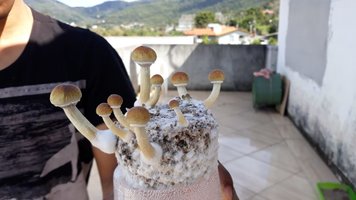 IMG-20180828-WA0001.jpg