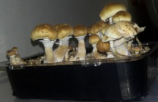 20180828_224156-1.jpg
