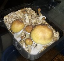 20180902_234220-1.jpg
