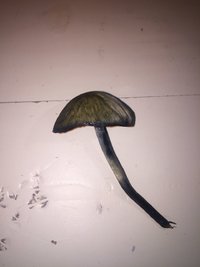 thumbnail_IMG-20180828-WA0036.jpg