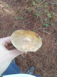 IMG-20180904-WA0018.jpg