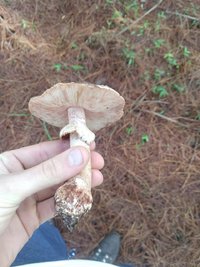 IMG-20180904-WA0017.jpg