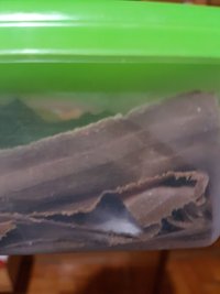 20180624_213412.jpg
