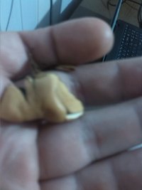 IMG_20180911_184430.jpg