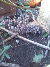 IMG-20180606-WA0022.jpg