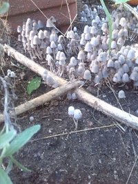 IMG-20180606-WA0024.jpg