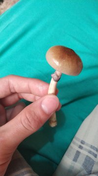 IMG_20180919_083406.jpg