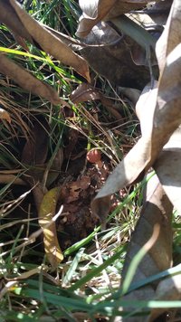 IMG_20180919_151823.jpg