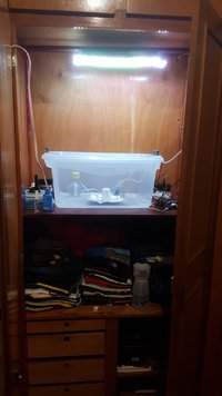 Screenshot_20180920-111748_Gallery.jpg