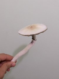 20180920_200014-1.jpg