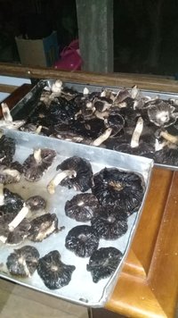 IMG-20180923-WA0004.jpg