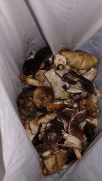 IMG-20180923-WA0003.jpg