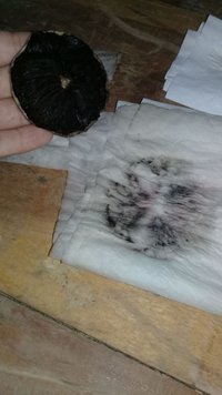 IMG-20180923-WA0002.jpg