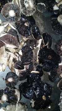 IMG-20180923-WA0001.jpg