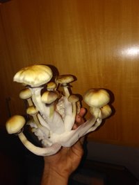 0510,.jpg