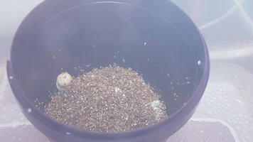 20181009_092623.jpg