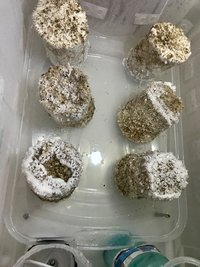 916E35E7-ACDE-4F97-89BC-DA370D1B5811.jpeg