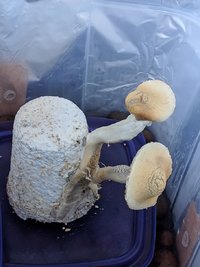 IMG_20181104_181610.jpg