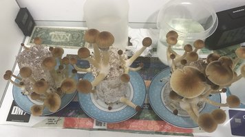 4F1B359B-5BB3-4408-8F15-0C87038F15CF.jpeg