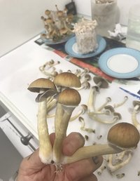 C10E5C1E-0900-47B2-B770-CE437C452C34.jpeg