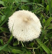IMG_20181125_152154_1.jpg