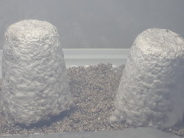 20181202_124524.jpg