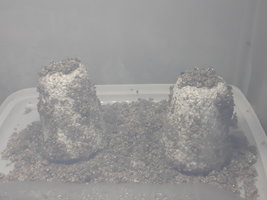 20181203_124357.jpg