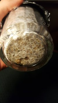 20181212_213310.jpg