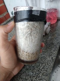 73bdf3e2-5ddc-4b5f-89b9-d5deceef5e1a.jpg