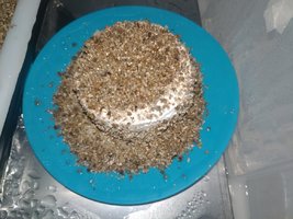Aniversário 16-12-18 (9).jpeg