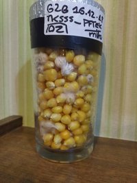 662f09db-ed00-44a9-b7ca-c0695e25ff10.jpg