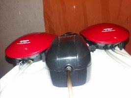 received_1574552745975012.jpeg