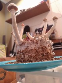 f0f1e582-c4ba-4494-aaee-e194df4baf20.jpg