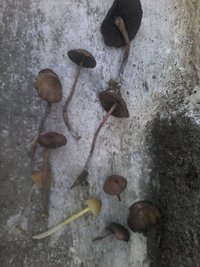 20190106_194337.jpg