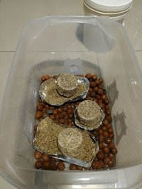 IMG_20190105_164552653 (Cópia).jpg