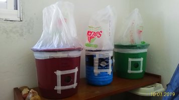 bulks.jpeg