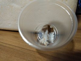 IMG_20190114_210022.jpg