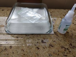 IMG_20190115_155055.jpg
