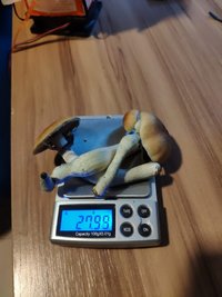 IMG_20190121_071115.jpg