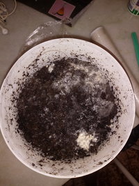 20190128_130651.jpg