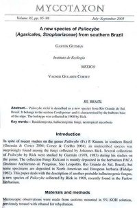 novo Psilocybe psicoativo descoberto no Brasil