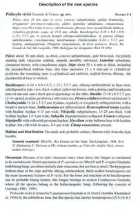 guzmanspsilocyberickii2abc.jpg
