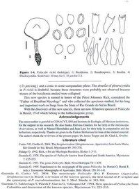 guzmanspsilocyberickii3abc.jpg