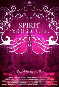 DMT - A Molécula do Espírito