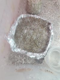 casing 2.jpg