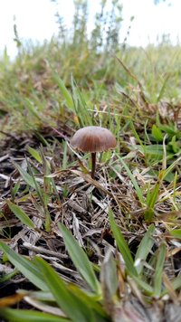 IMG_20181012_131917_720.jpg