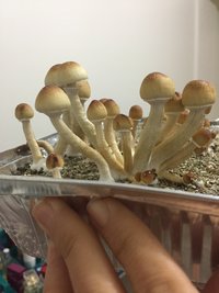 IMG_3298.JPG
