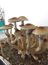 IMG_3306.JPG