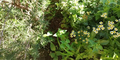 IMG_20190223_073752.jpg