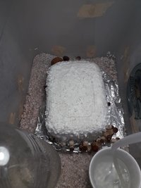 E7D78766-3C64-4ABD-85C1-E8CFA7C27794.jpeg